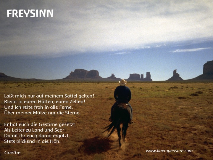 Freysinn Goethe