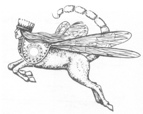 sarancha1