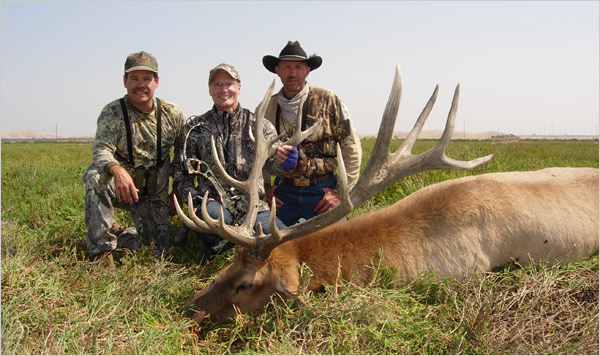 a elk600