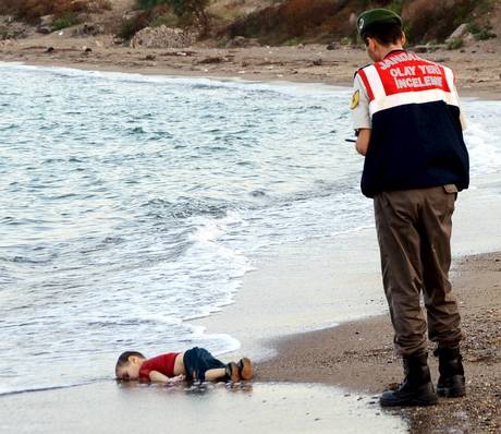 aylan 1