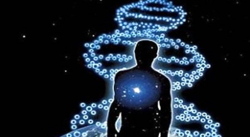 1dna