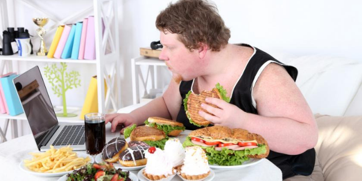 Junk Food