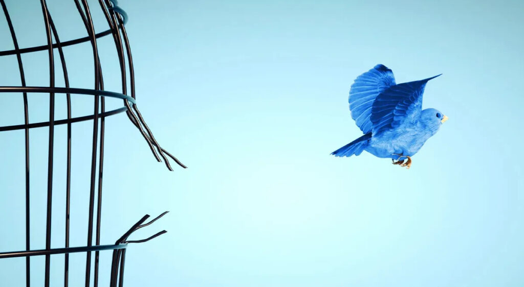 Bluebird
